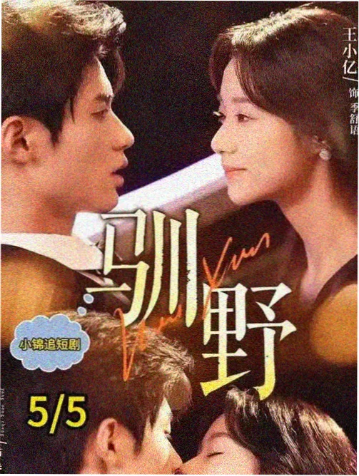 追风者 国产电影电视剧免费